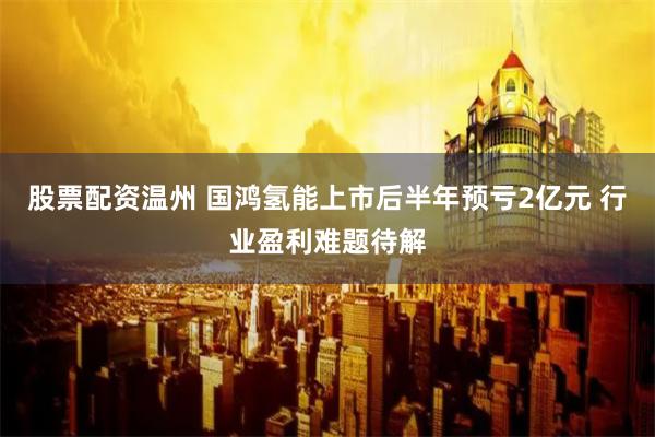 股票配资温州 国鸿氢能上市后半年预亏2亿元 行业盈利难题待解